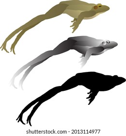Icono de silueta de rana saltando por el aire. Ilustración vectorial.