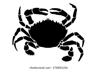 С símbolo de la silueta árabe. Ilustración vectorial dibujada a mano aislada en fondo blanco para el logotipo, infografía, sitio web, menú o diseño de paquete.