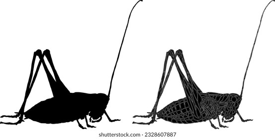 Silhouette icon of house cricket insect, isolated against white. Vector illustration.