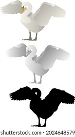 Silhouette icon of swan bird expand its wings. Vector illustration.