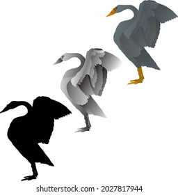 Silhouette icon of swan bird raise its wings. Vector illustration.