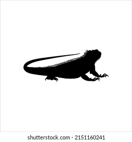 Silhouette of Iguana Reptiles (a genus of herbivorous lizards that are native to tropical areas of Mexico, Central America, South America, and the Caribbean). Vector Illustration 