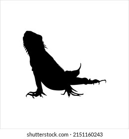 Silhouette of Iguana Reptiles (a genus of herbivorous lizards that are native to tropical areas of Mexico, Central America, South America, and the Caribbean). Vector Illustration 