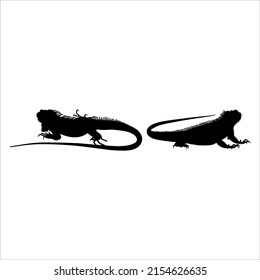 Silhouette of Iguana Reptiles (a genus of herbivorous lizards that are native to tropical areas of Mexico, Central America, South America, and the Caribbean). Vector Illustration 