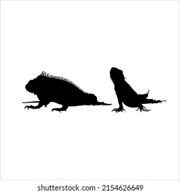 Silhouette of Iguana Reptiles (a genus of herbivorous lizards that are native to tropical areas of Mexico, Central America, South America, and the Caribbean). Vector Illustration 