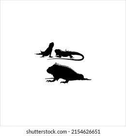 Silhouette of Iguana Reptiles (a genus of herbivorous lizards that are native to tropical areas of Mexico, Central America, South America, and the Caribbean). Vector Illustration 