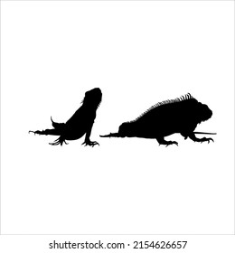 Silhouette of Iguana Reptiles (a genus of herbivorous lizards that are native to tropical areas of Mexico, Central America, South America, and the Caribbean). Vector Illustration 