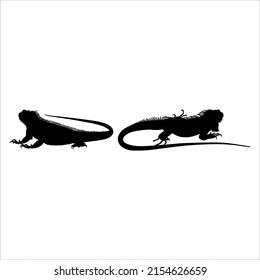 Silhouette of Iguana Reptiles (a genus of herbivorous lizards that are native to tropical areas of Mexico, Central America, South America, and the Caribbean). Vector Illustration 