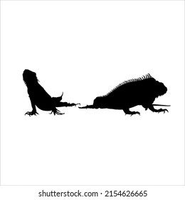 Silhouette of Iguana Reptiles (a genus of herbivorous lizards that are native to tropical areas of Mexico, Central America, South America, and the Caribbean). Vector Illustration 