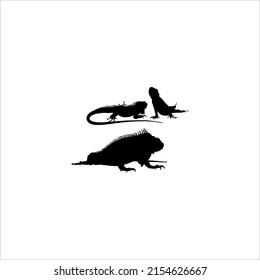 Silhouette of Iguana Reptiles (a genus of herbivorous lizards that are native to tropical areas of Mexico, Central America, South America, and the Caribbean). Vector Illustration 