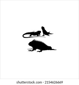 Silhouette of Iguana Reptiles (a genus of herbivorous lizards that are native to tropical areas of Mexico, Central America, South America, and the Caribbean). Vector Illustration 