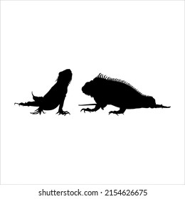 Silhouette of Iguana Reptiles (a genus of herbivorous lizards that are native to tropical areas of Mexico, Central America, South America, and the Caribbean). Vector Illustration 