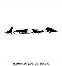 Silhouette of Iguana Reptiles (a genus of herbivorous lizards that are native to tropical areas of Mexico, Central America, South America, and the Caribbean). Vector Illustration 