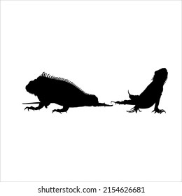 Silhouette of Iguana Reptiles (a genus of herbivorous lizards that are native to tropical areas of Mexico, Central America, South America, and the Caribbean). Vector Illustration 