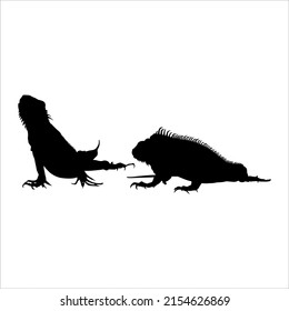 Silhouette of Iguana Reptiles (a genus of herbivorous lizards that are native to tropical areas of Mexico, Central America, South America, and the Caribbean). Vector Illustration 