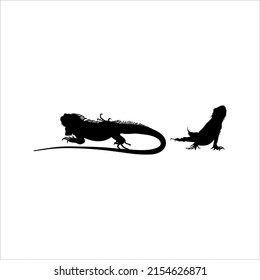 Silhouette of Iguana Reptiles (a genus of herbivorous lizards that are native to tropical areas of Mexico, Central America, South America, and the Caribbean). Vector Illustration 