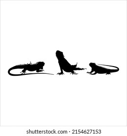 Silhouette of Iguana Reptiles (a genus of herbivorous lizards that are native to tropical areas of Mexico, Central America, South America, and the Caribbean). Vector Illustration 