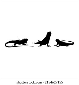 Silhouette of Iguana Reptiles (a genus of herbivorous lizards that are native to tropical areas of Mexico, Central America, South America, and the Caribbean). Vector Illustration 