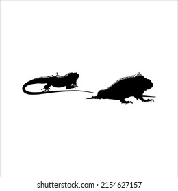 Silhouette of Iguana Reptiles (a genus of herbivorous lizards that are native to tropical areas of Mexico, Central America, South America, and the Caribbean). Vector Illustration 