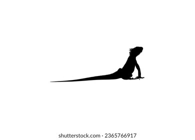 Silhouette of Iguana Reptiles (a genus of herbivorous lizards that are native to tropical areas of Mexico, Central America, South America, and the Caribbean). Vector Illustration 