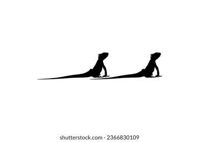 Silhouette of Iguana Reptiles (a genus of herbivorous lizards that are native to tropical areas of Mexico, Central America, South America, and the Caribbean). Vector Illustration 