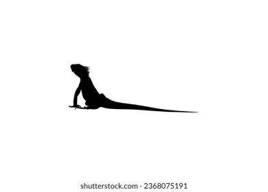 Silhouette of Iguana Reptiles (a genus of herbivorous lizards that are native to tropical areas of Mexico, Central America, South America, and the Caribbean). Vector Illustration 