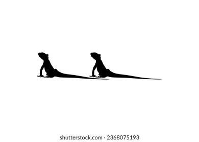 Silhouette of Iguana Reptiles (a genus of herbivorous lizards that are native to tropical areas of Mexico, Central America, South America, and the Caribbean). Vector Illustration 