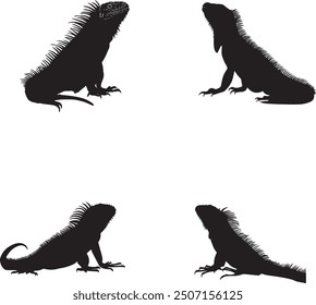 Silhouette of iguana vector on white background