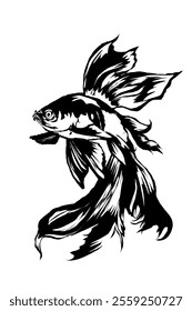 silhouette illustration of betta fish with ink on white background