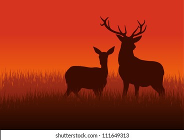 Silhouette illustration of a deer and doe on meadow