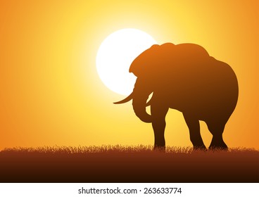 Silhouette illustration of an elephant against sunset background