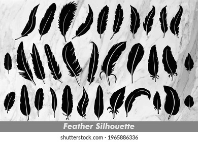 Silhouette Illustration with feather theme. The palette and the backgrounds are in white and the layout is simplified.