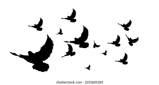 silhouette illustration of a flock of doves flying together suitable for a graphic design complement