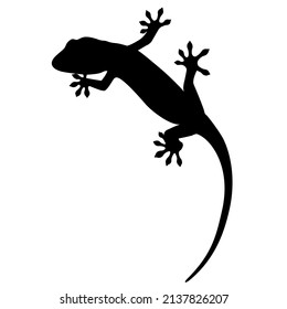 Silhouette illustration of a gecko (white background, vector, cut out)