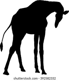 Silhouette illustration of giraffe