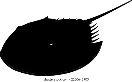 Silhouette illustration of horseshoe crab seen from an angle