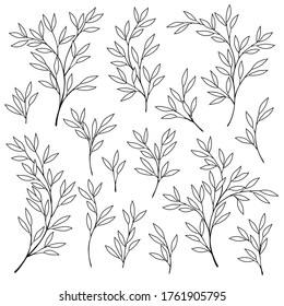 Silhouette illustration of the plant which is beautiful with simplicity,
