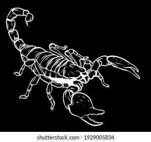 silhouette Illustration of scorpion arachnid insect. vector graphics