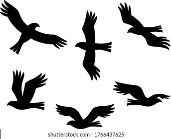 Silhouette illustration set of flying hawk in various poses
