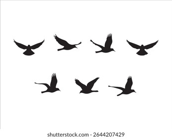 Silhouette illustration of seven birds in flight against a clean white background