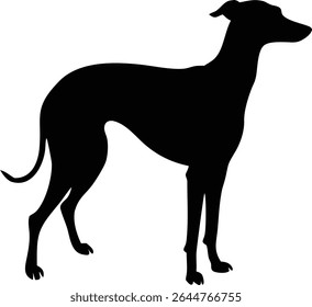 A silhouette illustration showcases an elegant greyhound dog standing against a clean white backdrop. This simple yet striking image highlights the sleek lines of the canine breed.