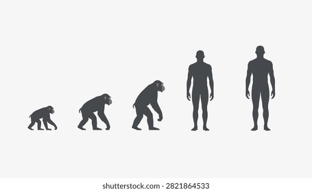 Silhouette illustration showing human evolution stages from primate to modern man