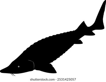 Silhouette illustration of a swimming sturgeon