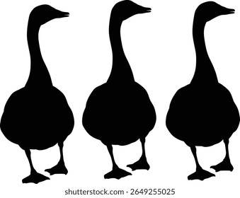 Silhouette Illustration of Three Standing Geese
