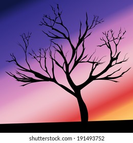 Silhouette illustration of a tree against a beautiful sunset