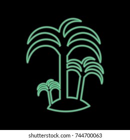 Silhouette illustration of tropical palm tree with crown of green fronds symbolic of a tropical vacation and summer travel. 