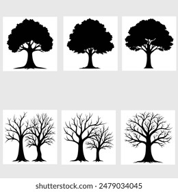 Silhouetten von großen Bäumen mit und ohne Blätter zeigen den krassen Kontrast zwischen dem üppigen, vollen Laub des Sommers und den kahlen, verwickelten Zweigen des Winters.