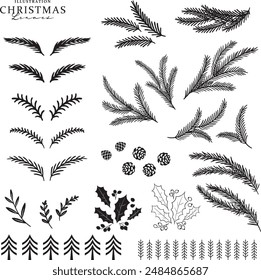 Silhouette illustrations of fir branches and leaves