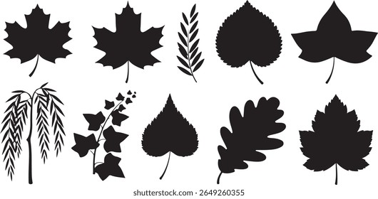 Silhouette illustrations of various types of leaves and branches