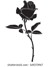 Silhouette image beautiful rose flower